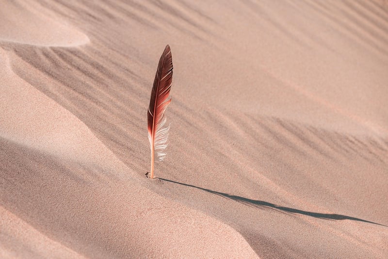 Desert landscape
